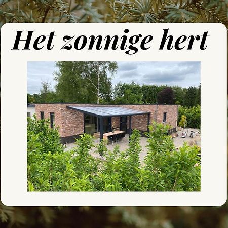 Het Zonnige Hert Ermelo Kültér fotó